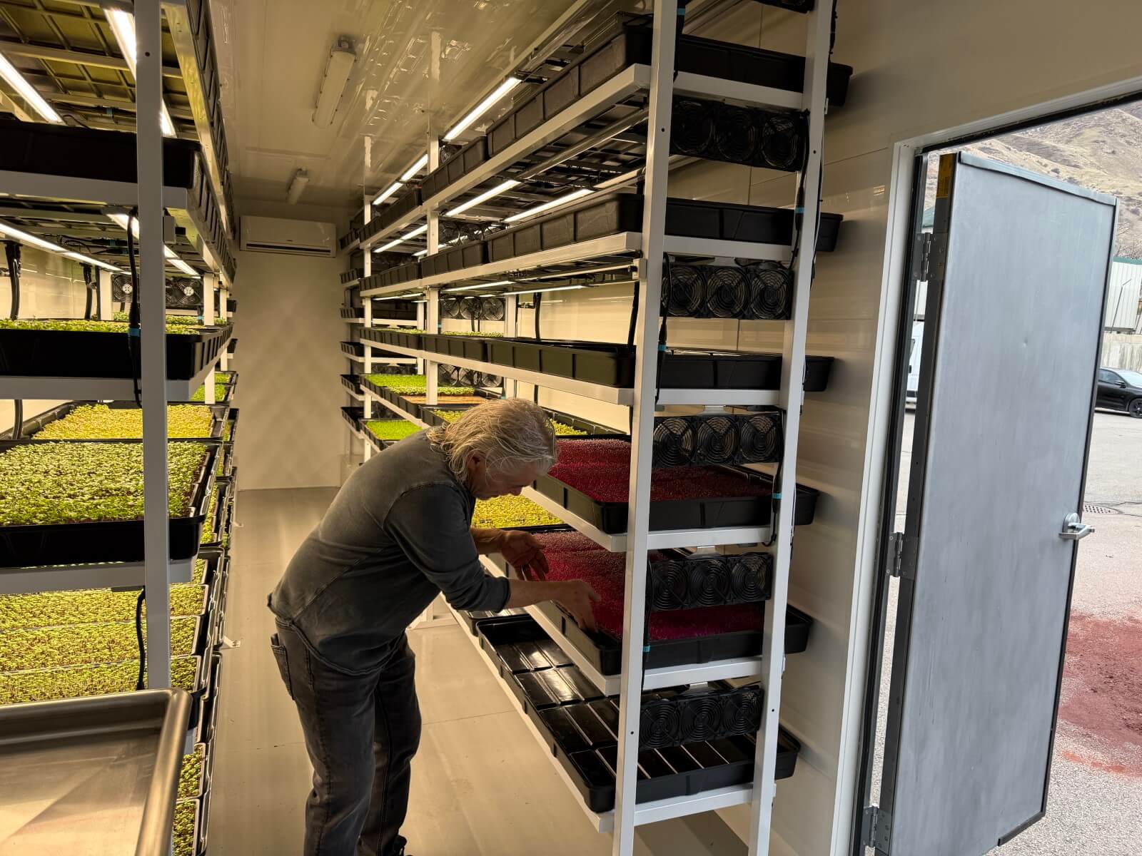 vertical-farming-plant-growth-hydroponics-setup