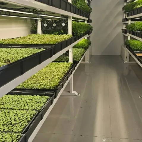 indoor-vertical-farm