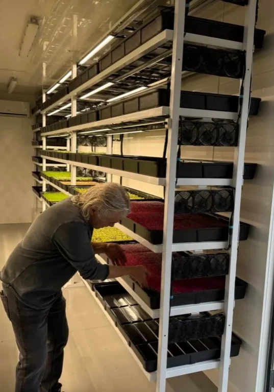 microgreens-vertical-farm