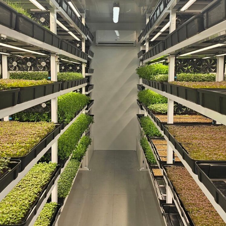 modular-aquaponics-microgreens-farm-shelving-system