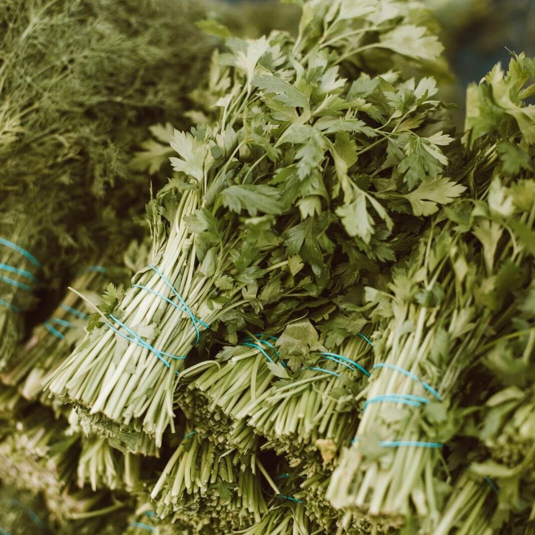 parsley-1