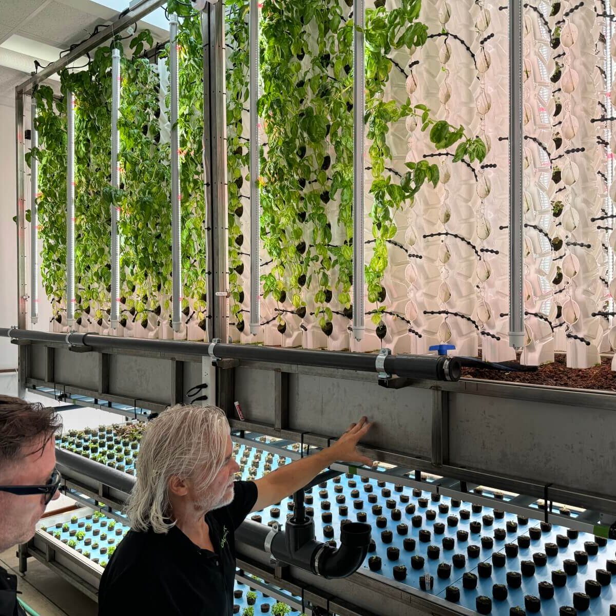 vertical-garden-hydroponics-experts-collaboration Farmplex